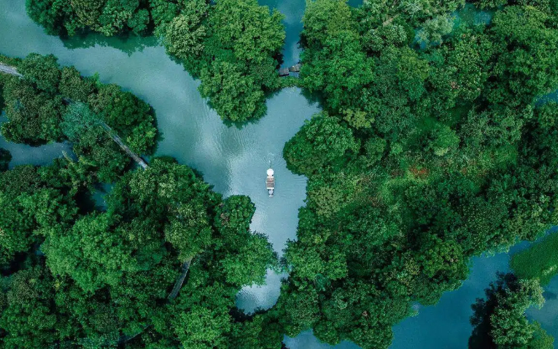 1764152373319001172.jpg XIxi (1).jpg