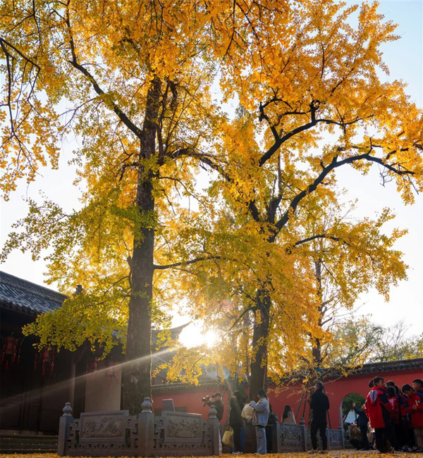 1764924088782052039.jpg 2-1_副本.jpg