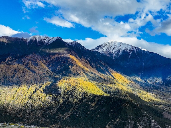 1762329903806020467.jpg 2420204231694876719_副本.jpg