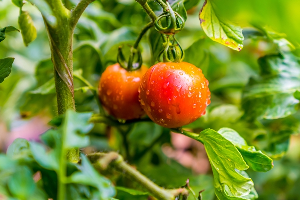 1763373629355089980.jpg VCG211505070790_副本.jpg