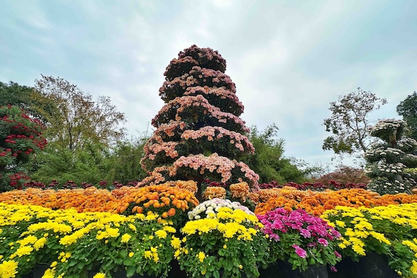 1764153743544050515.jpg df06d8c8-c05d-4165-ae8f-15155dda5041.jpg