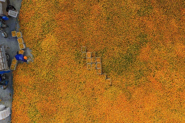 1764321505110084660.jpg 1-1-3-2.jpg