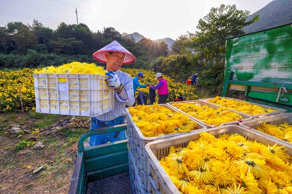 1764321512126001371.jpg 1-1-3-3.jpg