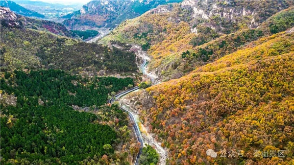 1762829423228047927.jpg 07-TA-3.webp_副本.jpg