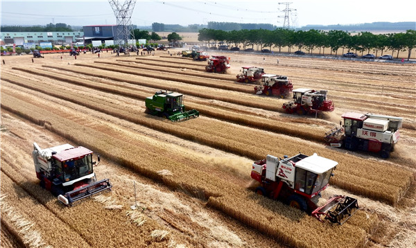 1765158368365014709.jpg 争取省级以上无偿资金1.74亿元建设10.8亩高标准农田.jpg