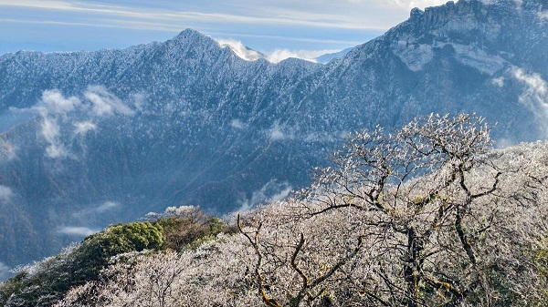 1764560190141070861.jpeg 1 - 副本.jpeg