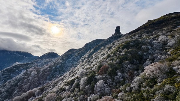 1764560253658001326.jpeg 2 - 副本.jpeg