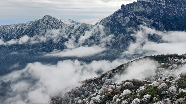 1764560268144055328.jpeg 3 - 副本.jpeg