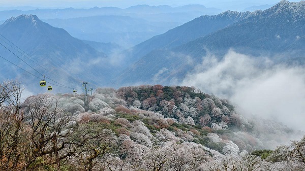 1764560277028082287.jpeg 4 - 副本.jpeg