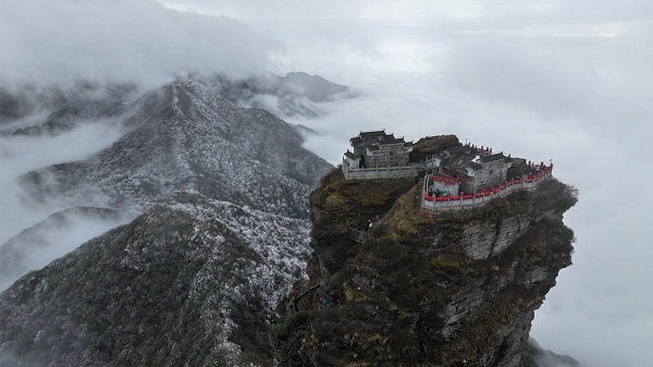 1764560285089093153.jpeg 5 - 副本.jpeg