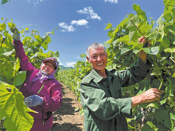 1764064603231016175.jpg 6924fe87a310d68600f2e21f.jpg