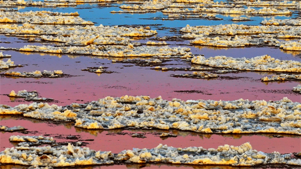 1765186896488041830.jpg 11.jpg