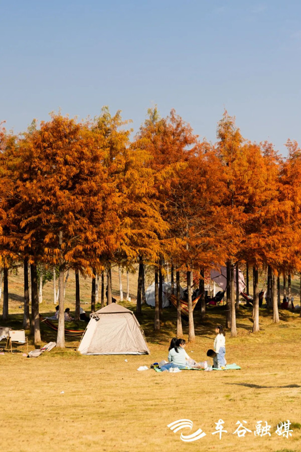 1764813244120040788.jpg 汤湖溿_副本.jpg