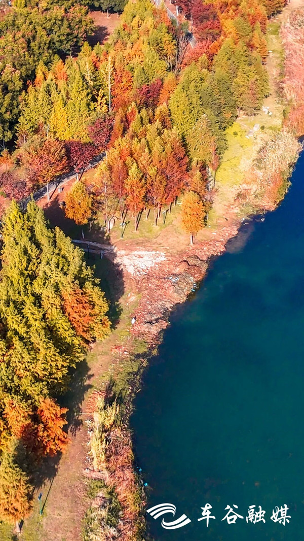 1764813330600030437.jpg 秋色_副本.jpg