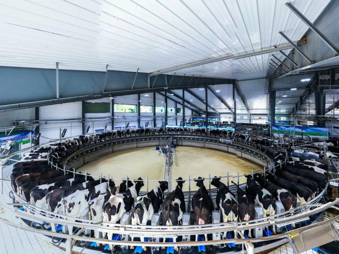 1762332753450050341.png 1762332753450050341.png