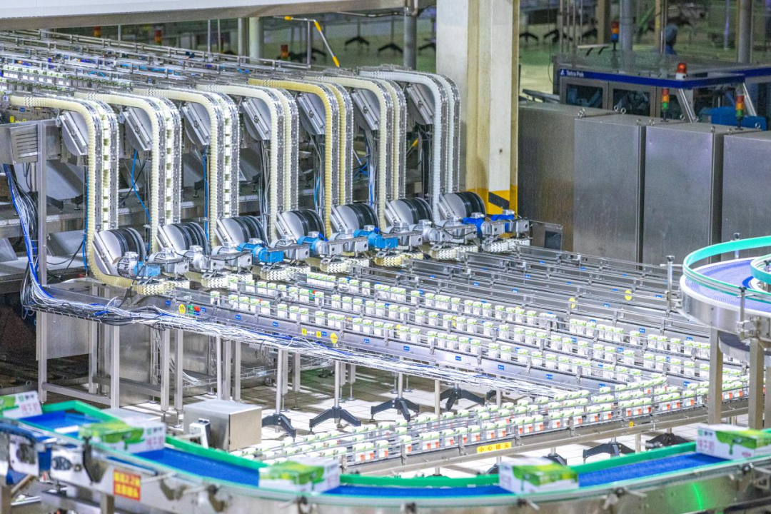 1762332776726036061.png 1762332776726036061.png