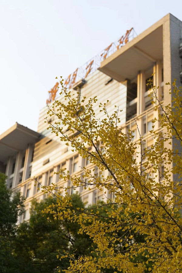 1767863370080037951.jpeg imgi_1_0.jpeg