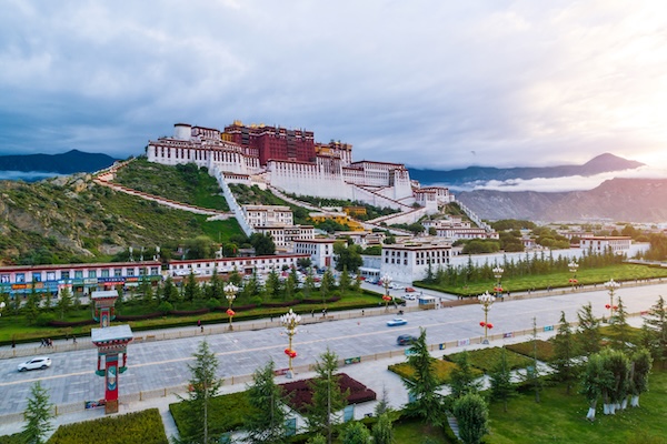 1769504094329000787.jpeg XZ(1)_副本.jpeg