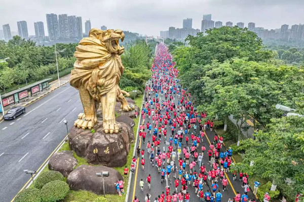 1770362717144019448.png 2.png