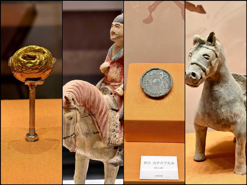 1770874886393019033.jpg 微信图片_20260209170645_963_355.jpg