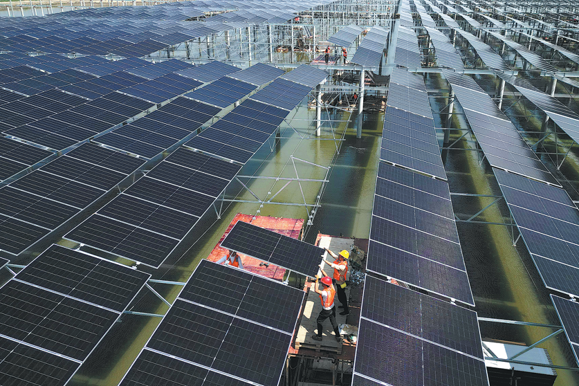 Energy sector shows resilience in Q1