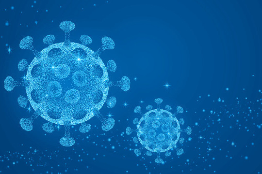 China reports no Andes hantavirus infections: CDC