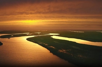 Shandong documentary wins gold at Houston International Film Festival