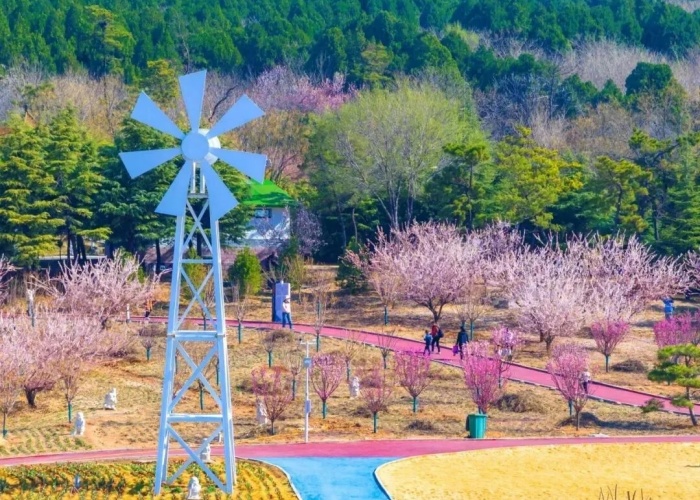 Tai'an offers culture and tourism for May Day holiday