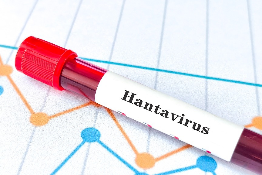 Health authorities: No risk of Hantavirus transmission in Yibin
