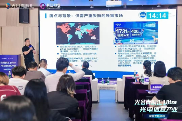 光谷大湾区2_副本.jpg