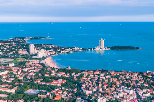 Foreign investment drawn to advantages of country's high-standard opening-up