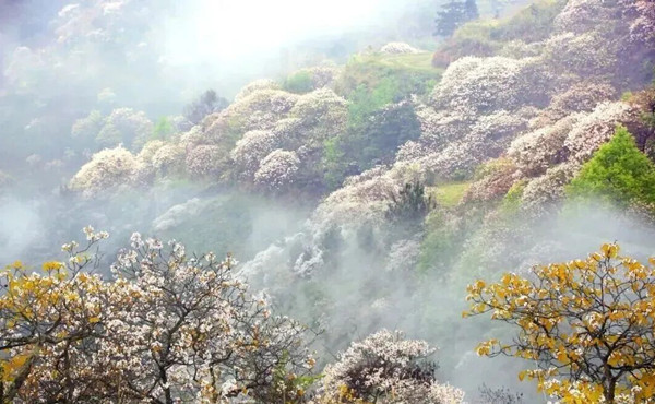 河池.jpg