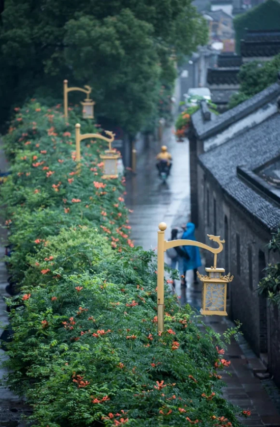 1778731084183037318.jpg 图片2.jpg