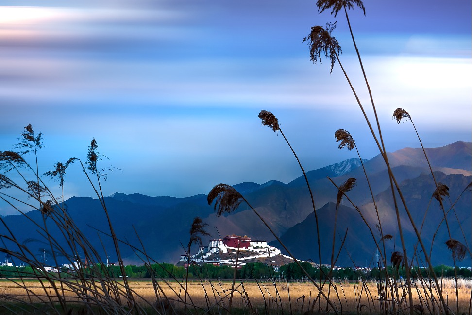 Lhalu Wetland sees major recovery thanks to conservation efforts