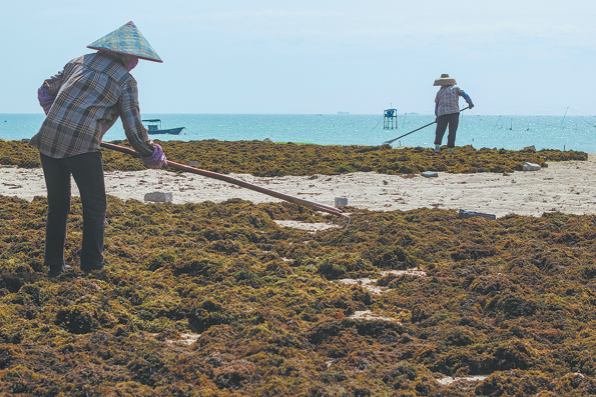 2025 data shows marine conditions remain stable