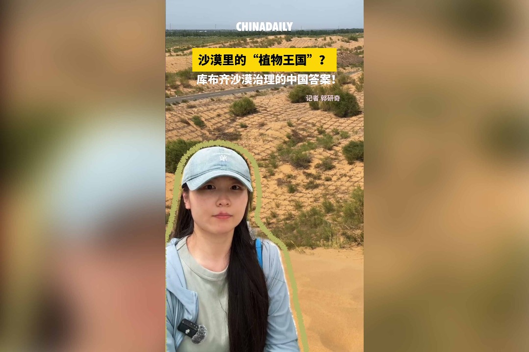 Inner Mongolia's ecological zone demonstrates desert control