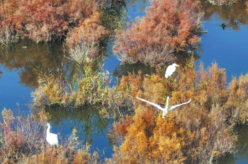 Reclamation work brings lush land to Aiximan