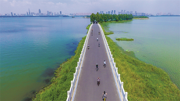 1782186243406059934.jpg 东湖2_副本.jpg