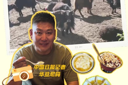 Tibetan yak yogurt tradition evolves from grasslands to Lhasa shops