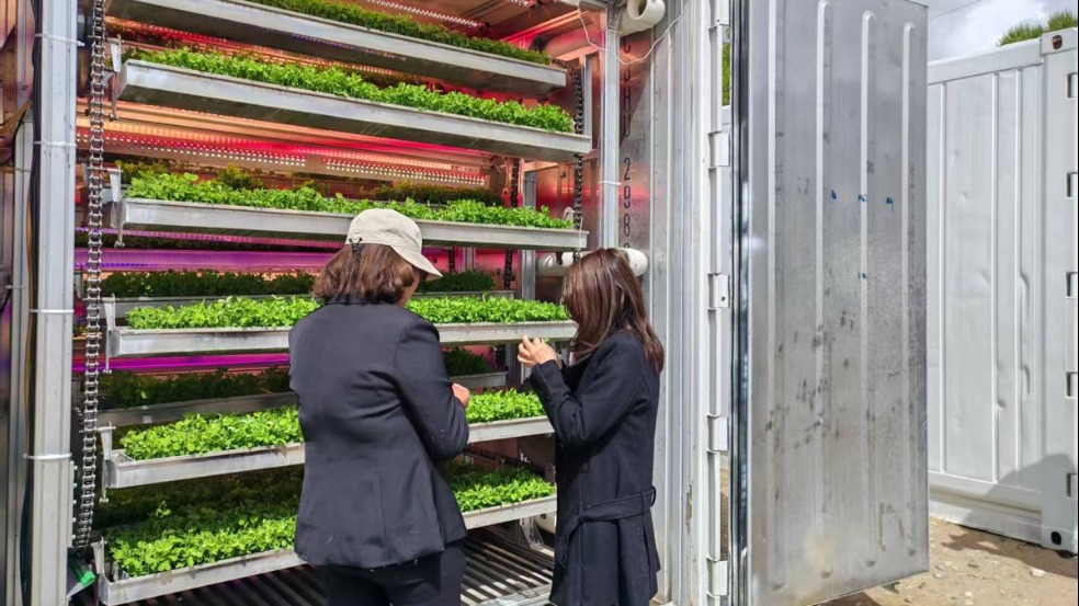 Lhasa expands AI-powered smart growing containers in high-altitude district