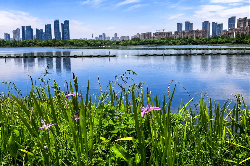 China issues plan to build Beautiful China from 2026 to 2030