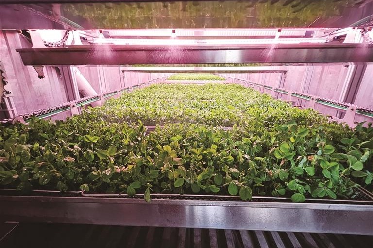 AI-powered containers help reshape farming in Xizang