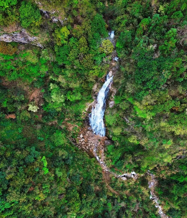 1780478855389068929.jpg 3-2_副本.jpg