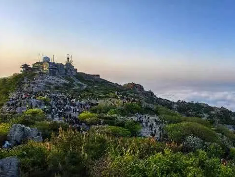 Taishan Mountain's ancient trees: Living monuments of culture, nature
