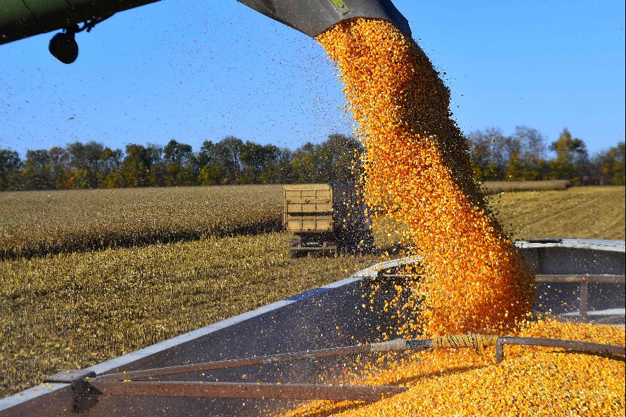 Summer grain production reaches historic 150m tons in 2026