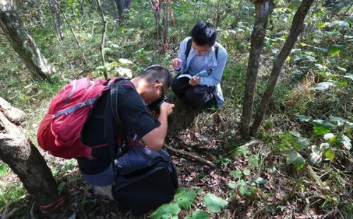 Anji nature reserve records China's highest species density