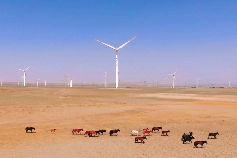 Xinjiang's green power trading volume hits record high