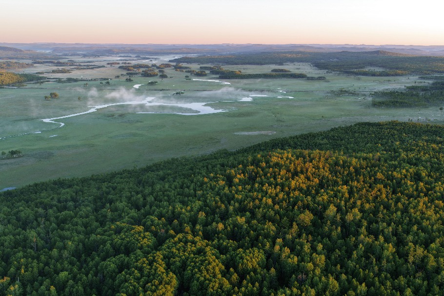 China issues five-year plan for forestry, grassland conservation