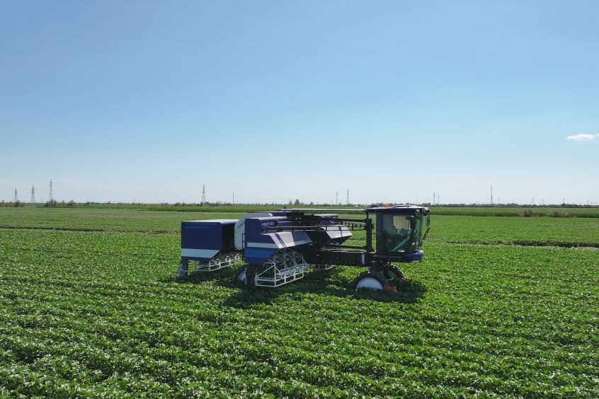 Xinjiang deploys 108-arm robot for cotton topping, slashes labor costs
