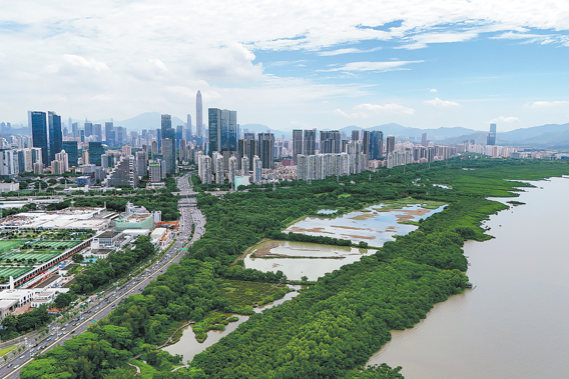 Shenzhen maps plan for mangrove management